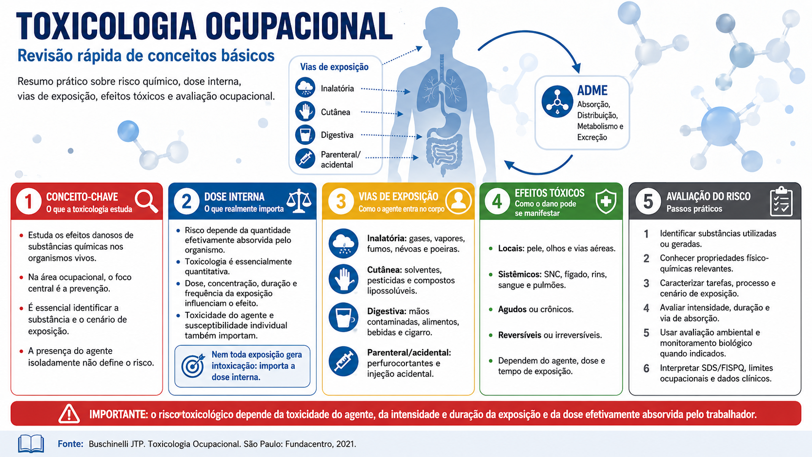 Resumo visual sobre toxicologia ocupacional